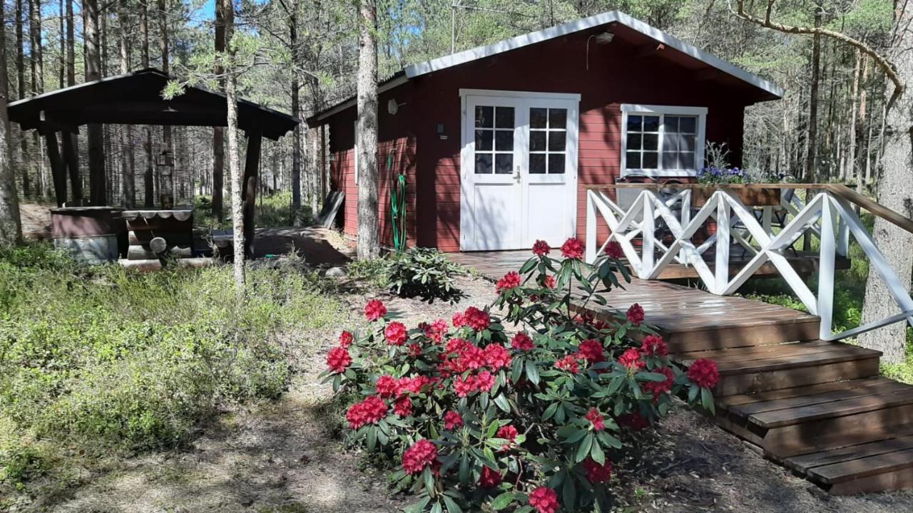 Nova Madise Guesthouse Rannakula  Exterior photo
